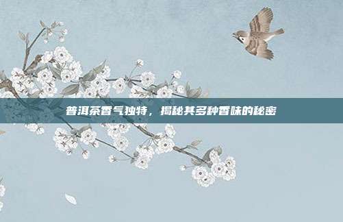 普洱茶香气独特，揭秘其多种香味的秘密
