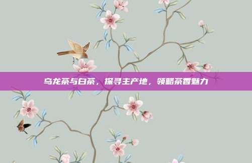乌龙茶与白茶，探寻主产地，领略茶香魅力