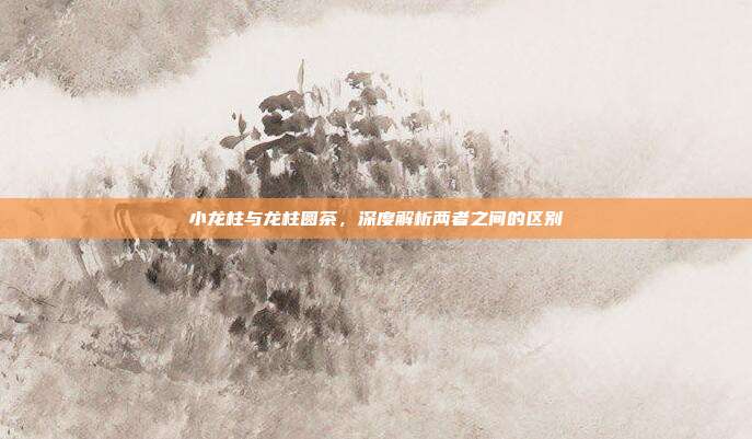 小龙柱与龙柱圆茶，深度解析两者之间的区别