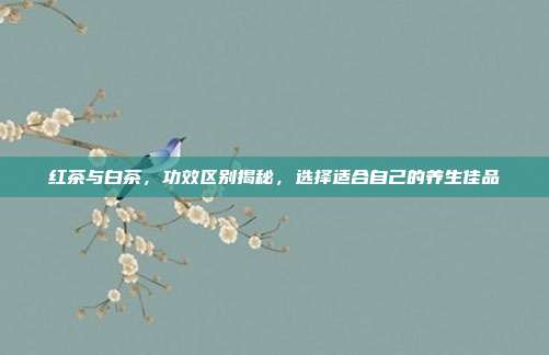 红茶与白茶，功效区别揭秘，选择适合自己的养生佳品