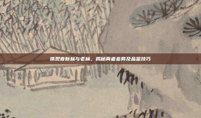 铁观音新枞与老枞，揭秘两者差异及品鉴技巧