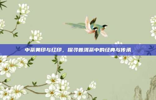 中茶黄印与红印，探寻普洱茶中的经典与传承
