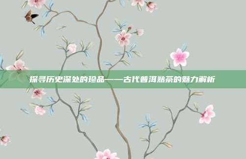 探寻历史深处的珍品——古代普洱熟茶的魅力解析