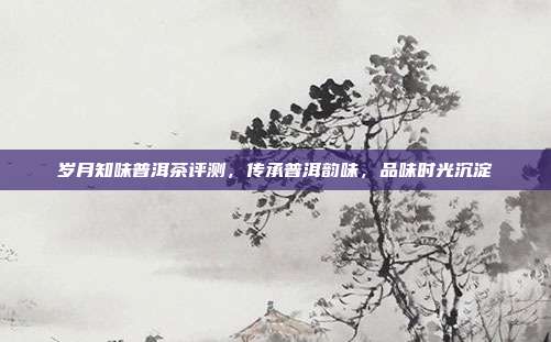 岁月知味普洱茶评测，传承普洱韵味，品味时光沉淀