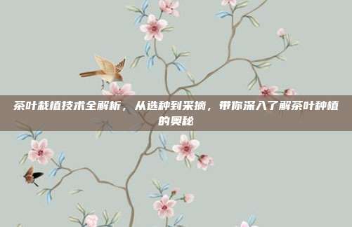 茶叶栽植技术全解析，从选种到采摘，带你深入了解茶叶种植的奥秘