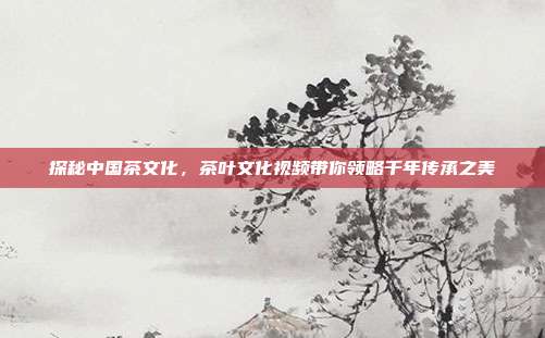 探秘中国茶文化，茶叶文化视频带你领略千年传承之美