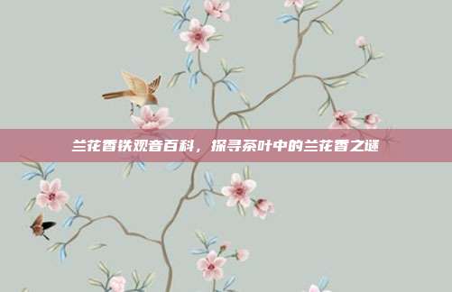 兰花香铁观音百科，探寻茶叶中的兰花香之谜