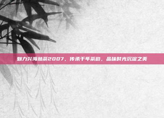 魅力兴海熟茶2007，传承千年茶韵，品味时光沉淀之美