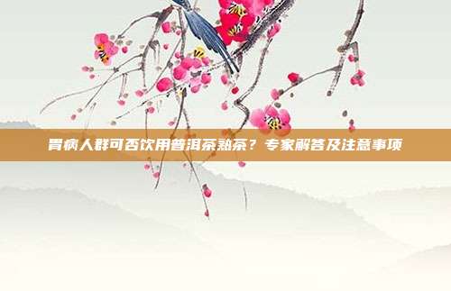 胃病人群可否饮用普洱茶熟茶？专家解答及注意事项