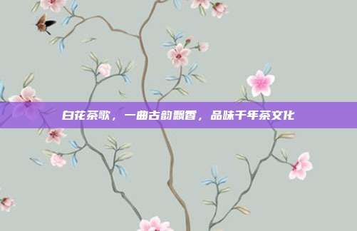 白花茶歌，一曲古韵飘香，品味千年茶文化