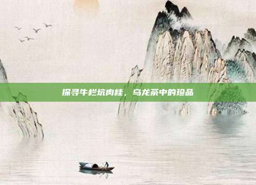 探寻牛栏坑肉桂，乌龙茶中的珍品