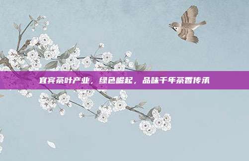 宜宾茶叶产业，绿色崛起，品味千年茶香传承