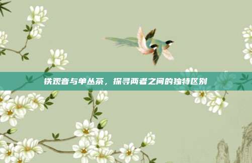 铁观音与单丛茶，探寻两者之间的独特区别