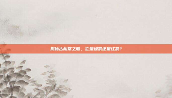 揭秘古树茶之谜，它是绿茶还是红茶？