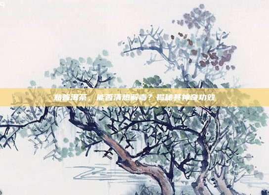 熟普洱茶，能否清热解毒？揭秘其神奇功效