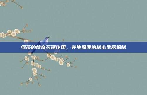 绿茶的神奇药理作用，养生保健的秘密武器揭秘