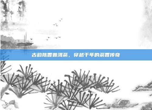 古韵陈香普洱茶，穿越千年的茶香传奇