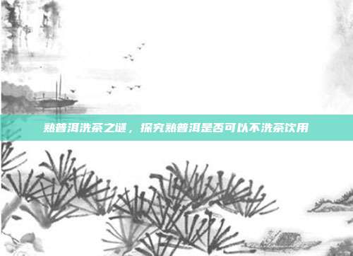 熟普洱洗茶之谜，探究熟普洱是否可以不洗茶饮用