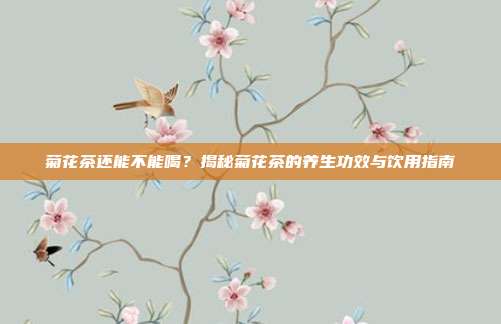 菊花茶还能不能喝？揭秘菊花茶的养生功效与饮用指南