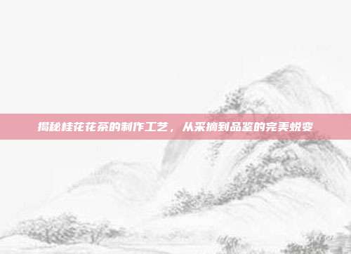 揭秘桂花花茶的制作工艺，从采摘到品鉴的完美蜕变