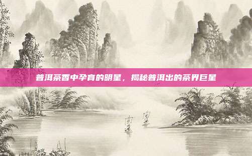 普洱茶香中孕育的明星，揭秘普洱出的茶界巨星