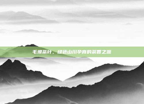 毛坝茶叶，绿色山川孕育的茶香之源