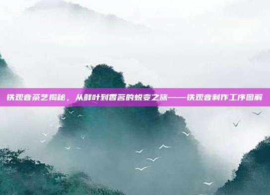 铁观音茶艺揭秘，从鲜叶到香茗的蜕变之旅——铁观音制作工序图解