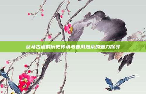 茶马古道的历史传承与普洱熟茶的魅力探寻