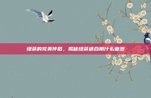 绿茶的完美伴侣，揭秘绿茶适合用什么壶泡