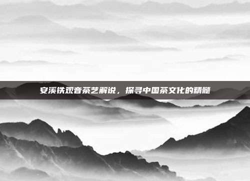 安溪铁观音茶艺解说，探寻中国茶文化的精髓