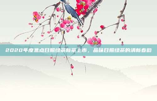 2020年度焦点日照绿茶新茶上市，品味日照绿茶的清新春韵