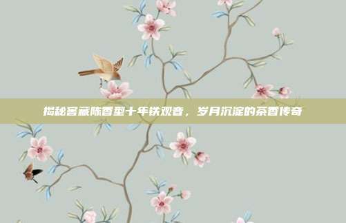 揭秘窖藏陈香型十年铁观音，岁月沉淀的茶香传奇
