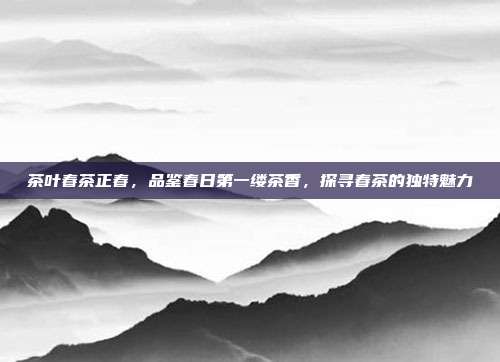 茶叶春茶正春，品鉴春日第一缕茶香，探寻春茶的独特魅力