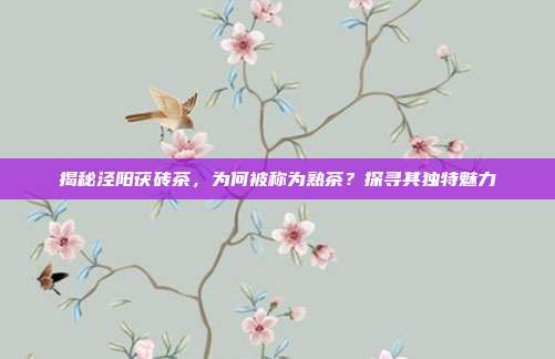 揭秘泾阳茯砖茶，为何被称为熟茶？探寻其独特魅力