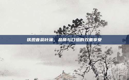 铁观音茶叶薄，品质与口感的双重享受