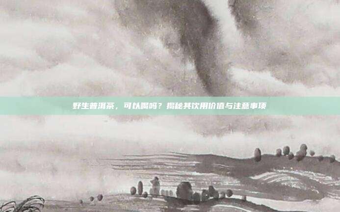 野生普洱茶，可以喝吗？揭秘其饮用价值与注意事项