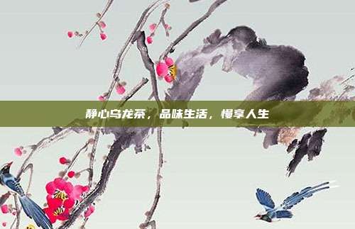 静心乌龙茶，品味生活，慢享人生