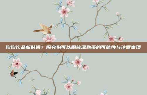 狗狗饮品新时尚？探究狗可以喝普洱熟茶的可能性与注意事项