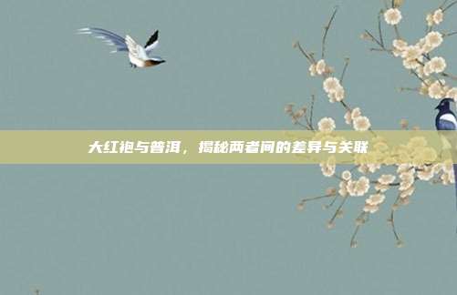 大红袍与普洱，揭秘两者间的差异与关联