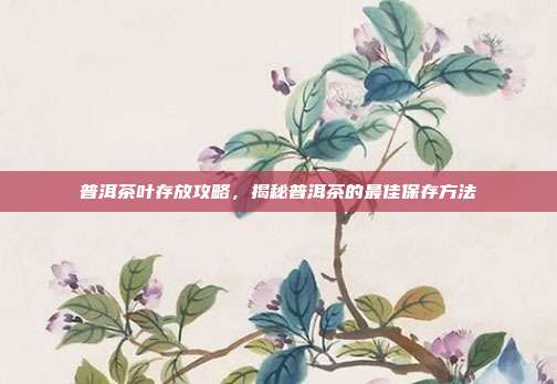 普洱茶叶存放攻略，揭秘普洱茶的最佳保存方法