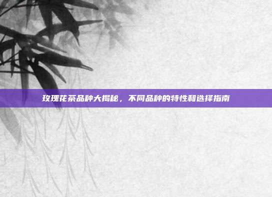 玫瑰花茶品种大揭秘，不同品种的特性和选择指南