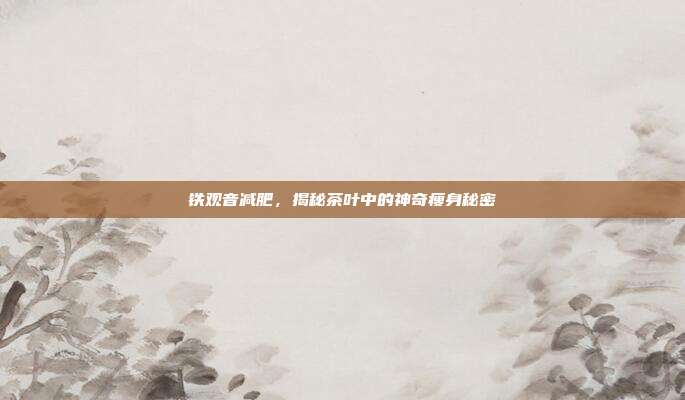 铁观音减肥，揭秘茶叶中的神奇瘦身秘密