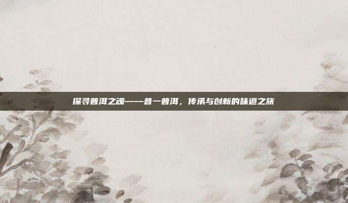 探寻普洱之魂——昔一普洱，传承与创新的味道之旅