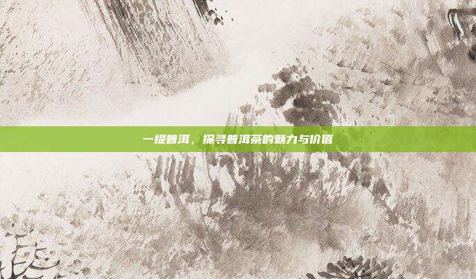 一提普洱，探寻普洱茶的魅力与价值