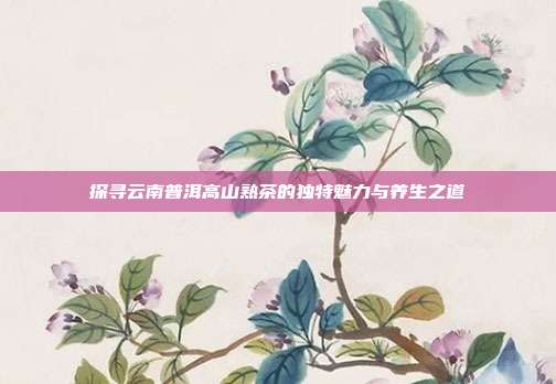 探寻云南普洱高山熟茶的独特魅力与养生之道