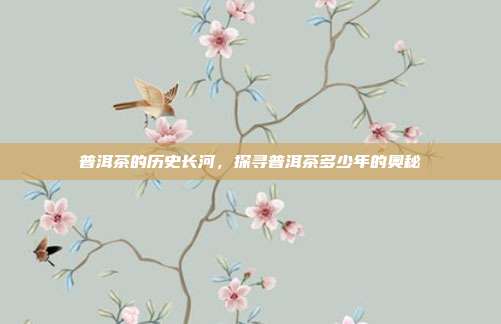 普洱茶的历史长河，探寻普洱茶多少年的奥秘