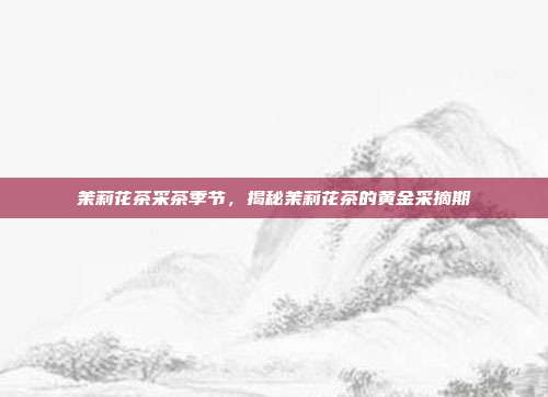 茉莉花茶采茶季节，揭秘茉莉花茶的黄金采摘期