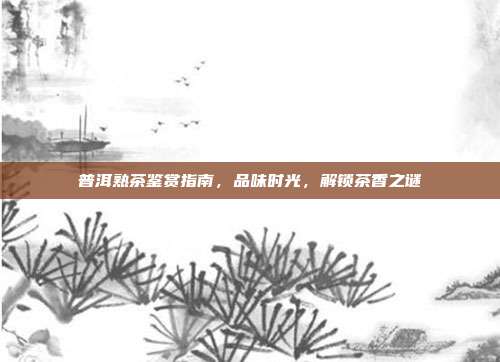 普洱熟茶鉴赏指南，品味时光，解锁茶香之谜