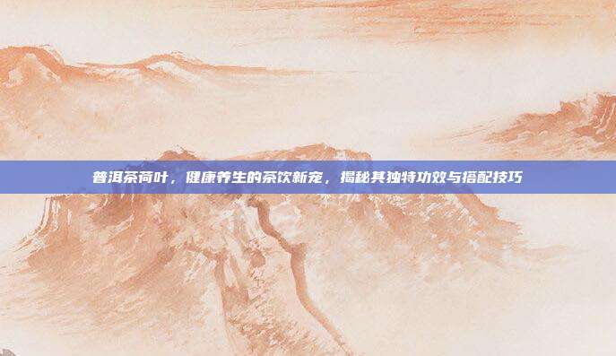 普洱茶荷叶，健康养生的茶饮新宠，揭秘其独特功效与搭配技巧