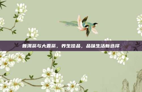 普洱茶与大麦茶，养生佳品，品味生活新选择